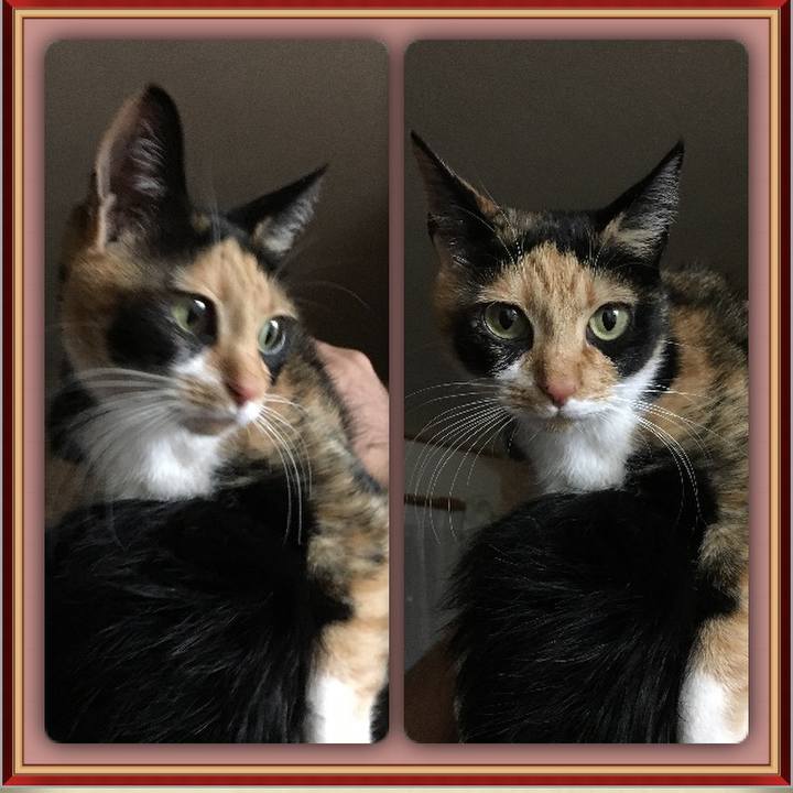 0ba7f6c1 1e8c 496a af5f c311767253a6