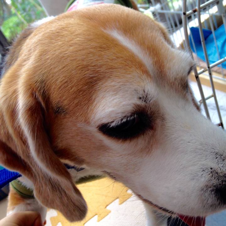 0ba8c260 9174 4e85 8b09 dfd1ddbfcab7