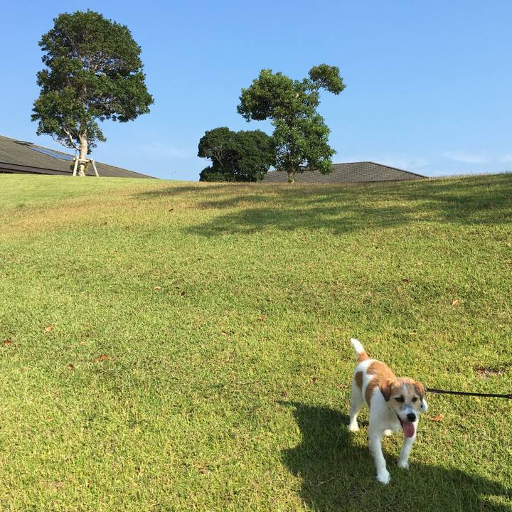 0ba9380b dc83 421c 8dd2 75ae9de4dd16