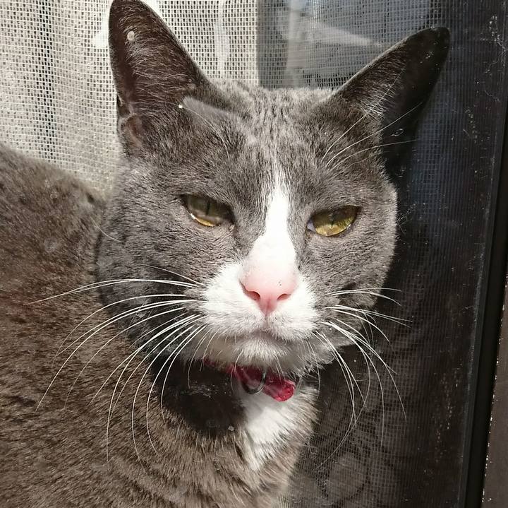 0ba9bb3a 82d8 47f7 abe2 896c2a514981