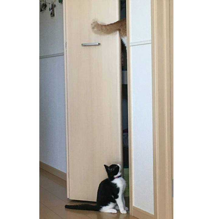 0baa05f3 bee7 41a6 96d3 46f7c25abbf7