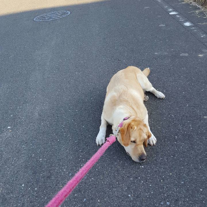 0baa19c7 ef96 46a6 a43a 1ea8e2c6bf9a