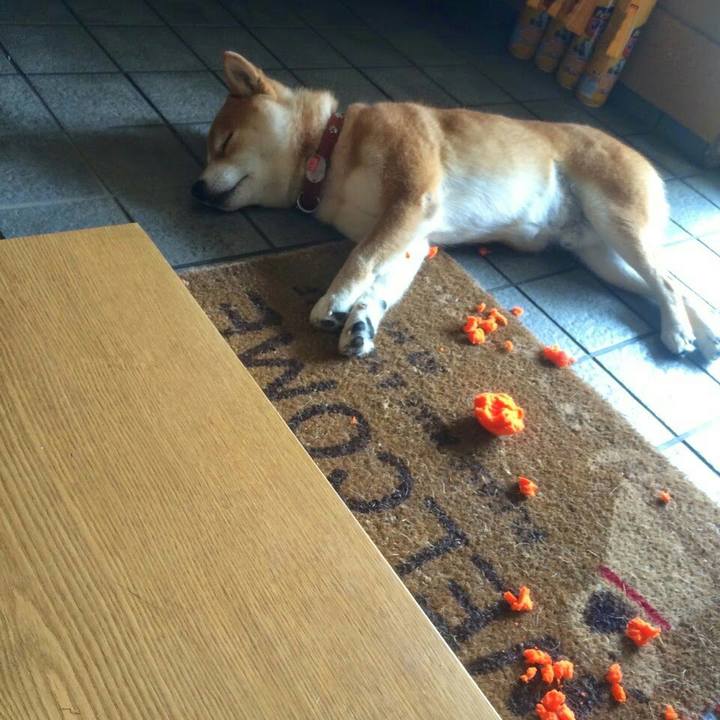 0baa2bc7 68d9 49c4 b2cc 37aeae00cc36