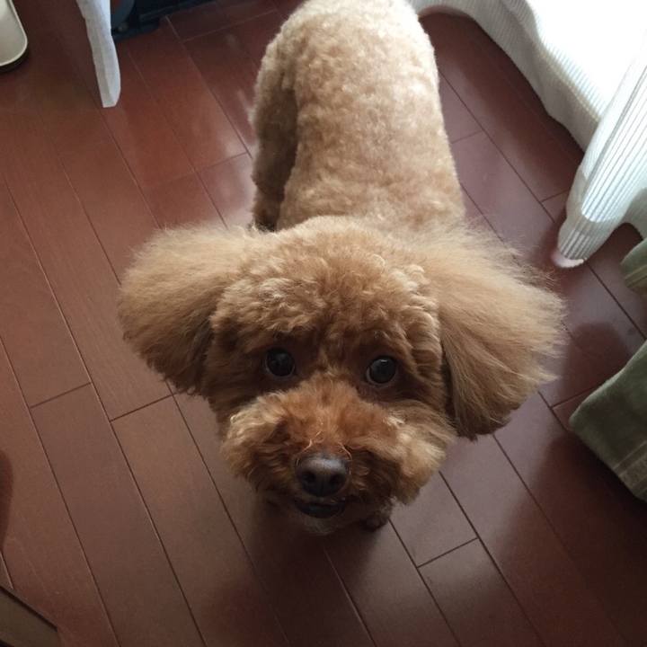 0baaca50 76fa 4ef9 8e17 21eadeb1f5f5