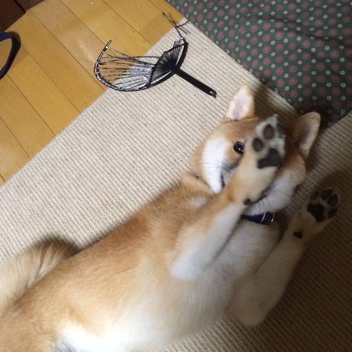 0baace0c 79aa 4678 95c3 5400fa901575