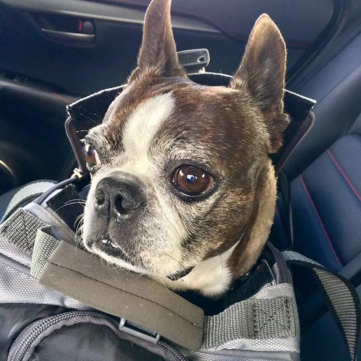 0bab9d3a 5596 4fc6 978f 64834846dfe9