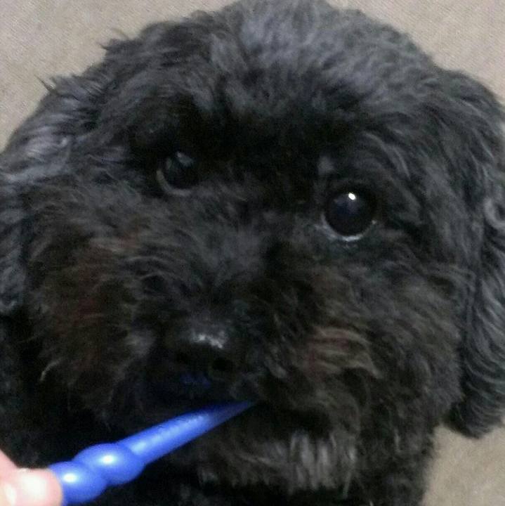 0baba830 40a8 4121 8a23 2dbba55bba99