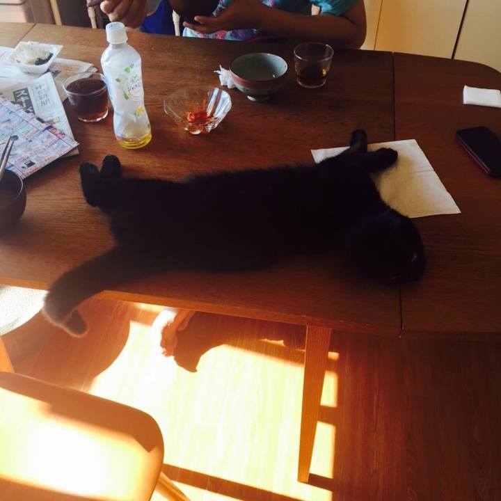 0bac1996 908e 41b9 b752 43a87ddeeb56