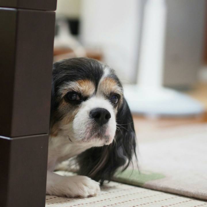 0bac6f63 55e3 4c62 9605 bd08ea800ff7