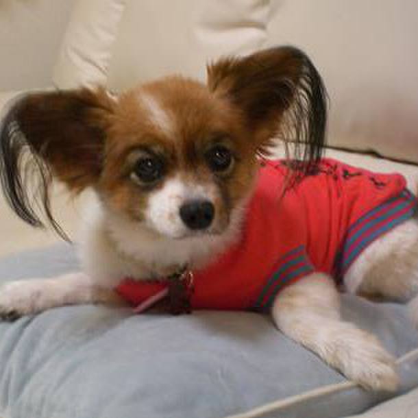 0bac9109 4a69 4fd9 9d6a 3077b016b574