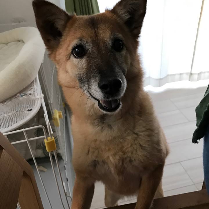 0bace4a9 78d7 41ba 809b c1e37b2501bc