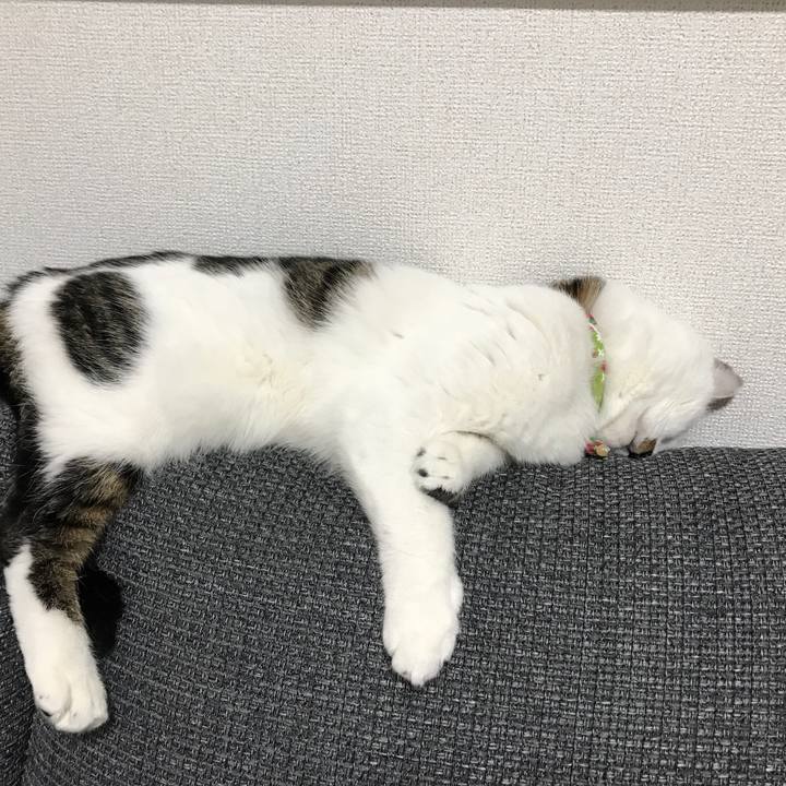 0bad0dcc a795 475f a364 4e7eab9b59a5