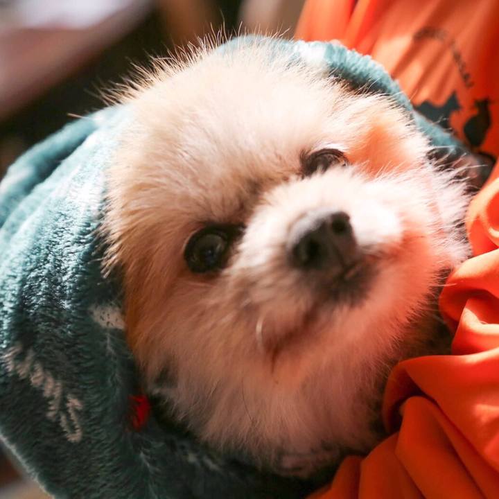 0badccf3 76a5 44a7 9017 81b1d9da72fe