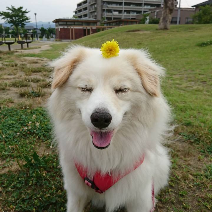 0bae693a 775e 46ee b0df 86dca0909ab3