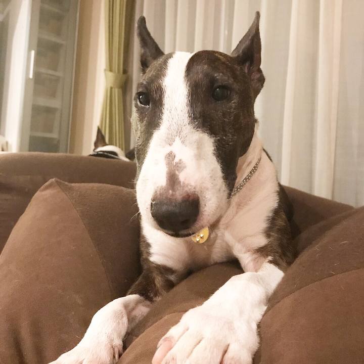 0baf0ab9 2986 4eca 88a9 006363fc3125