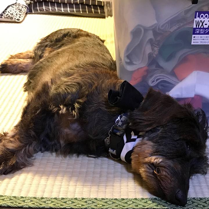 0baf6796 e3b9 4f07 abd9 378d0d1bc621