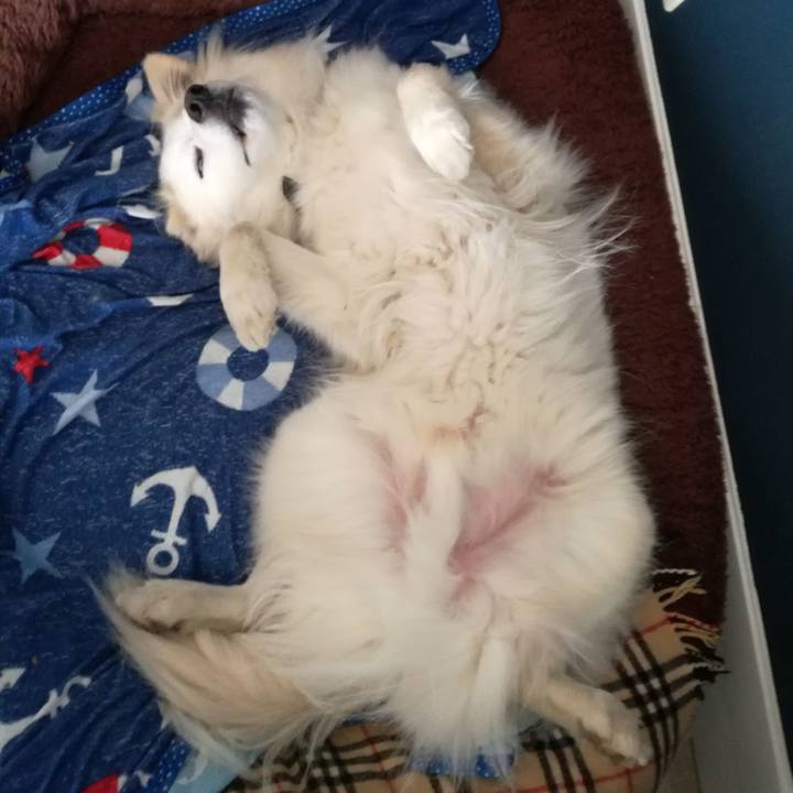 0bafe795 1b93 4032 aedb 6919672d37c4