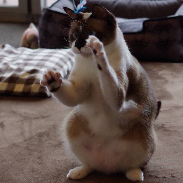 0bb02397 00a7 4d5c a366 9abeba48303e