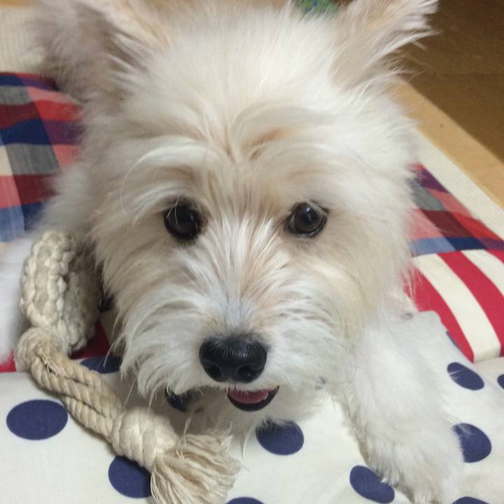 0bb11339 aecc 4da5 8154 81cf25804c00