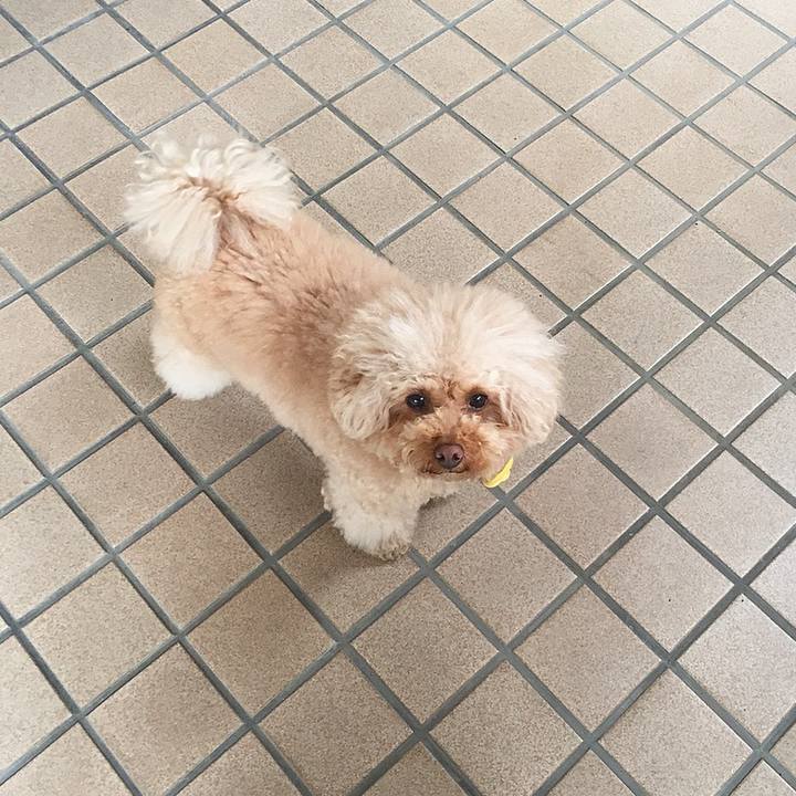 0bb139ea 39d7 4655 806d 22fcbcf143a8