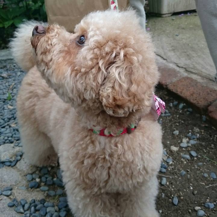 0bb18f60 f777 4d5e 8796 fdd2b350e7d0