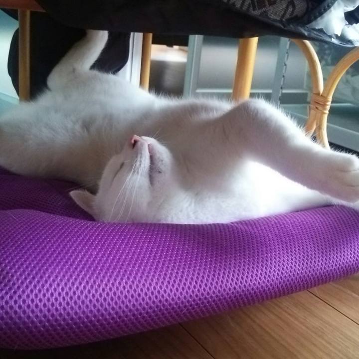 0bb272af 9f6b 4caf aea2 c6209bd3a88e