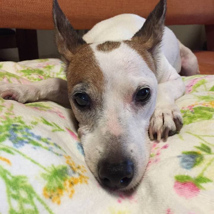 0bb28291 6402 4836 8b2b f635be985e0a