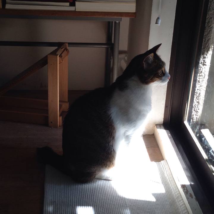 0bb3da1e b192 4e77 9fb3 c731591cca71