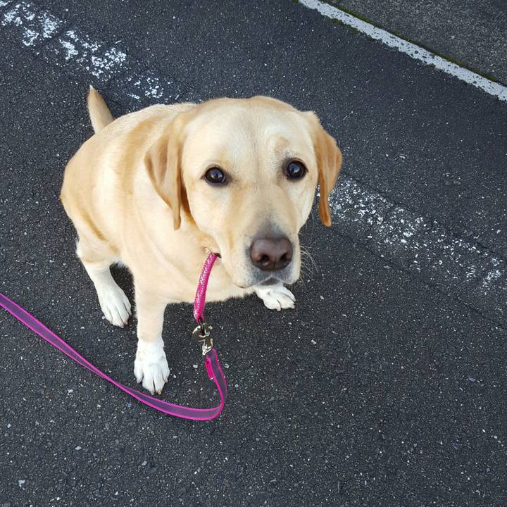 0bb41257 691b 46ee b701 44caaa1b172d