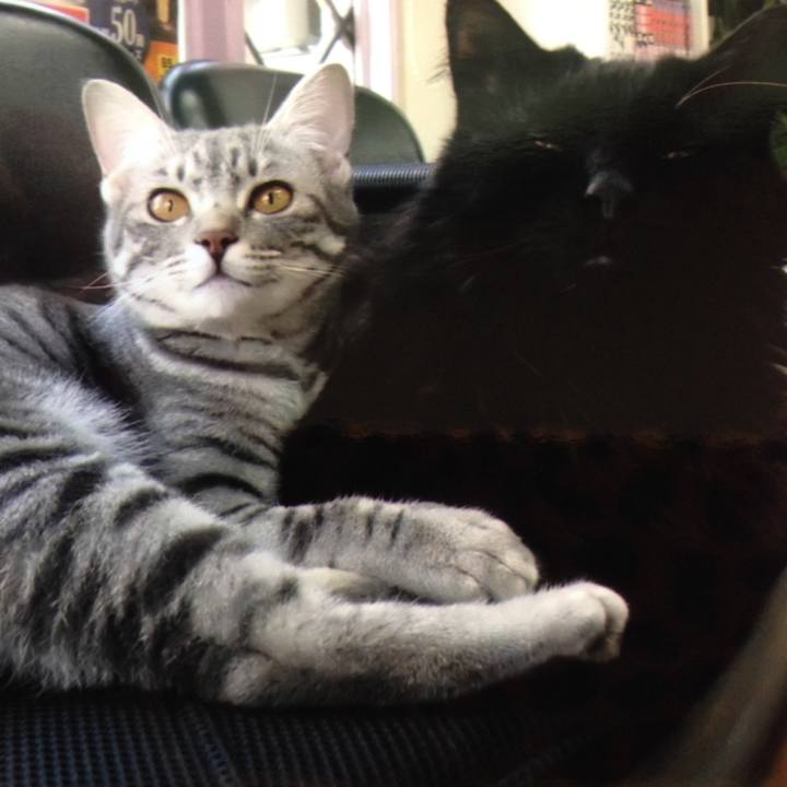 0bb41b51 5161 4189 b1ca 749b8d17a74c