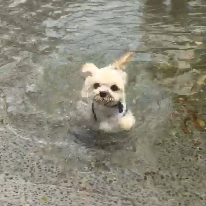 0bb455ba 37e9 4627 9e5f 7c83b6f2795c