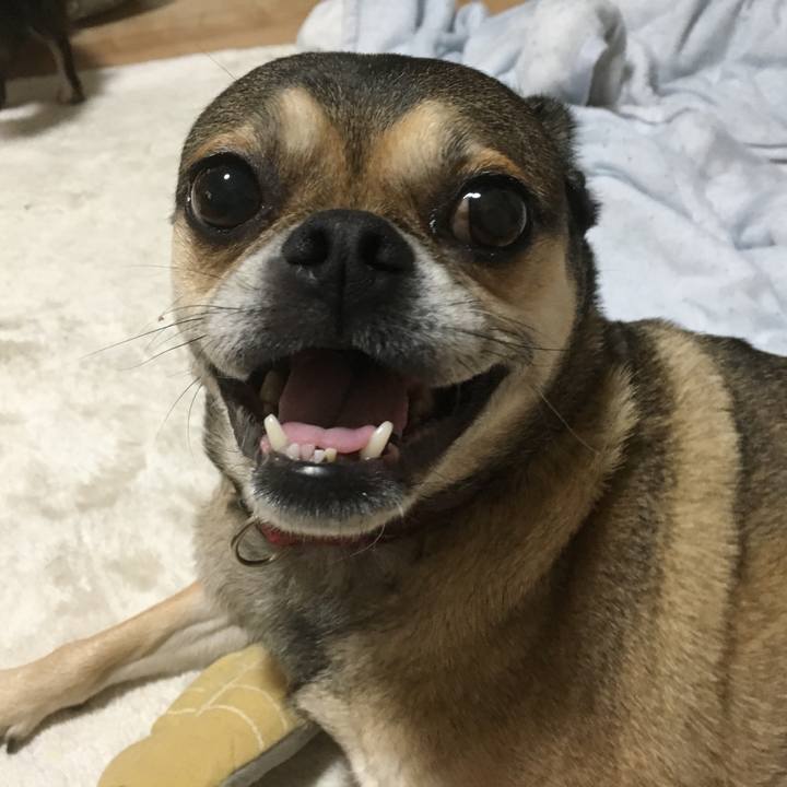 0bb486d7 f569 4224 bb6c 030eb22ca7f5