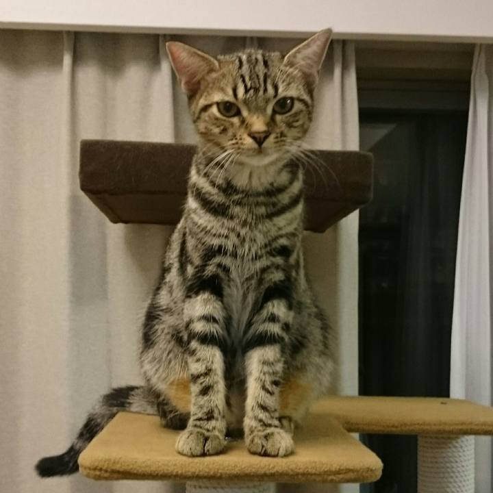 0bb49648 fec2 4e8b 8b59 94ec0fb71ad7