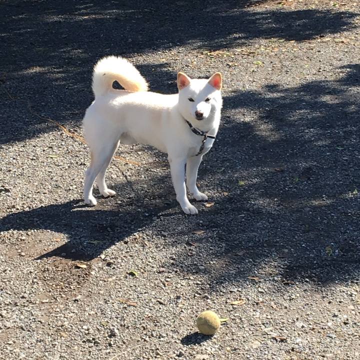 0bb4d27b ebee 4007 b7a5 c3c585c54417