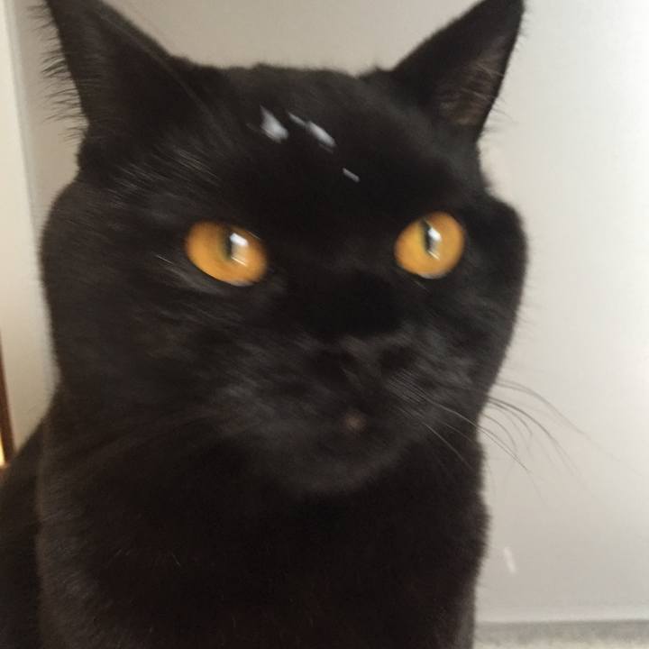 0bb5dc38 56ab 4eba 95c5 e2275ee7ae51