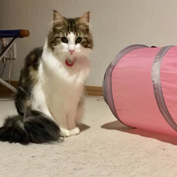 0bb5f24c 01a3 4ef6 8073 9f54b3da9b7c