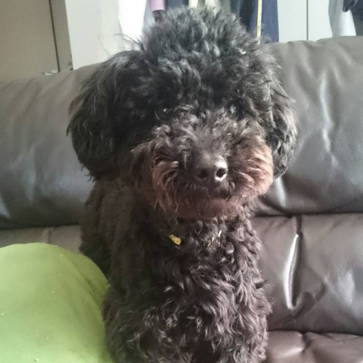 0bb6283f e7b8 4b2d 80ec f445256fe876