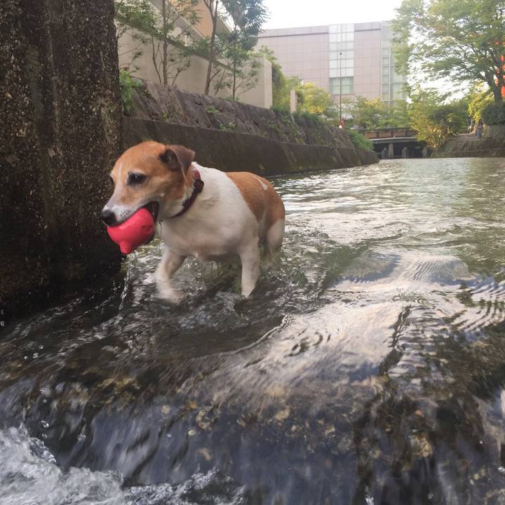 0bb676f2 8ba1 4aa4 b4e1 be48af657ba1