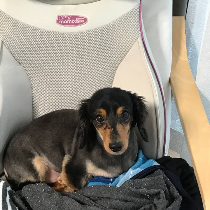 0bb6ca09 f867 41c5 ac58 52d76632b738