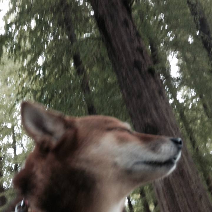 0bb7b952 030e 48cc b056 7c3fdd9f586d