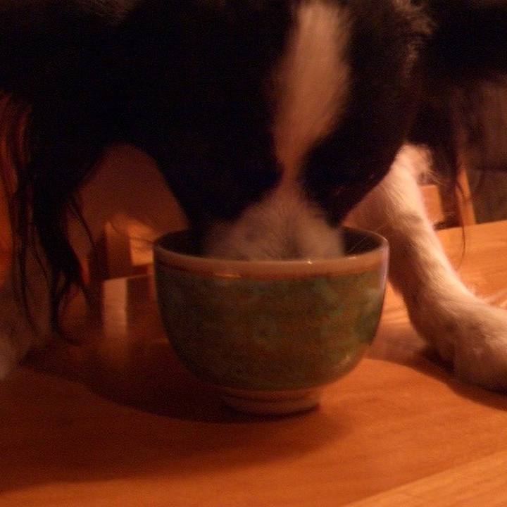 0bb7bfa0 ff8e 4286 bcef fed3f343f32c