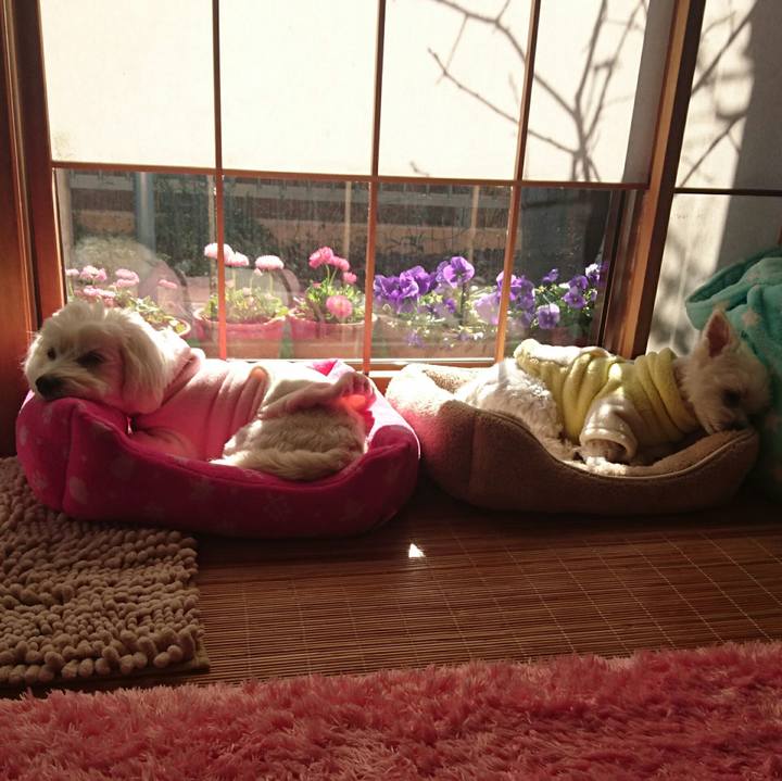 0bb7e7f4 0e32 4a02 a580 fc1143a01486