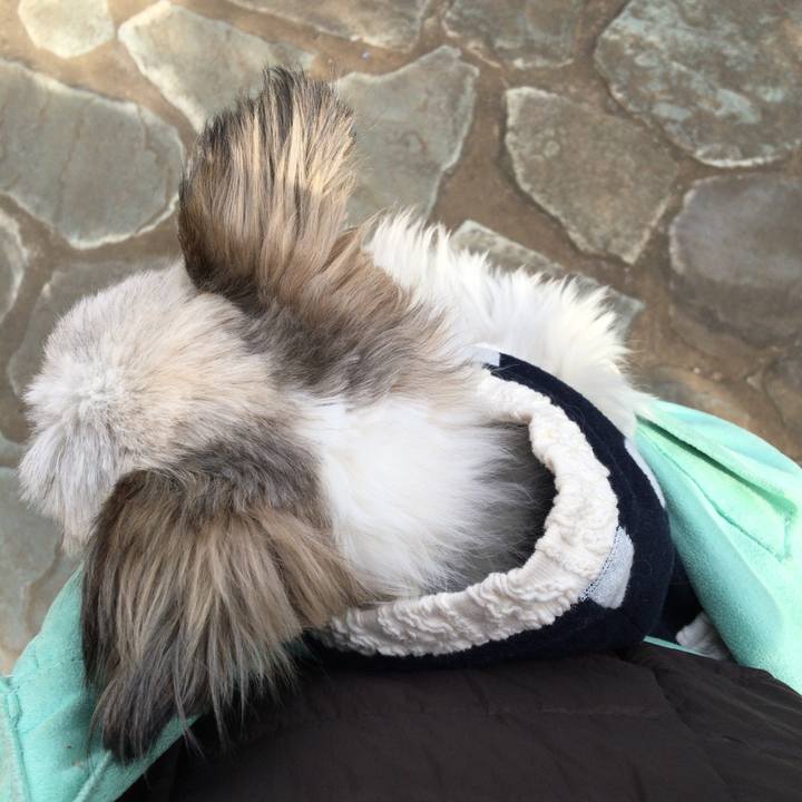 0bb863be df06 41e3 b4bf 38f8f58b237e