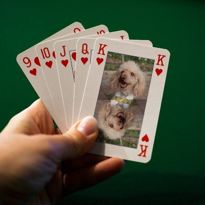 0bb91243 8656 4ae5 941a b9a6e7b76520