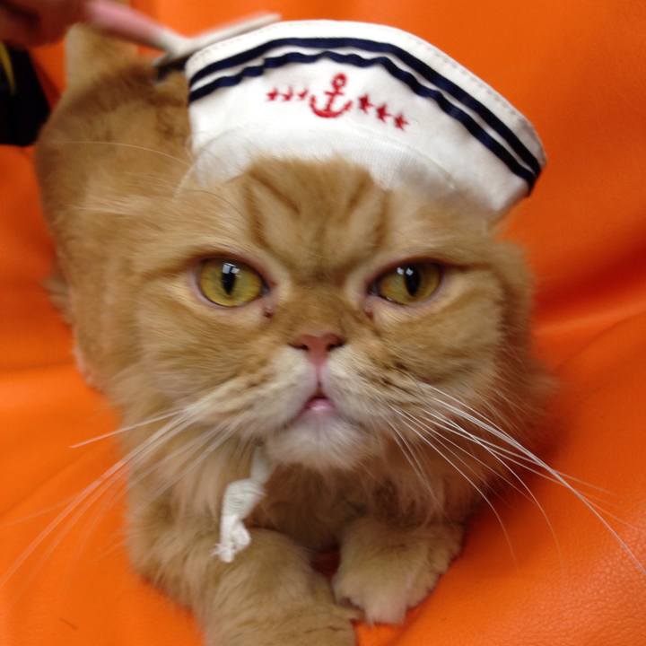 0bb91a15 fa65 4f30 92c1 dc49be6108a9