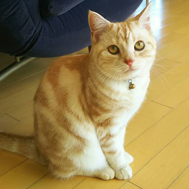 0bb91ee5 2963 4ddf ba79 4efbdc82e92a