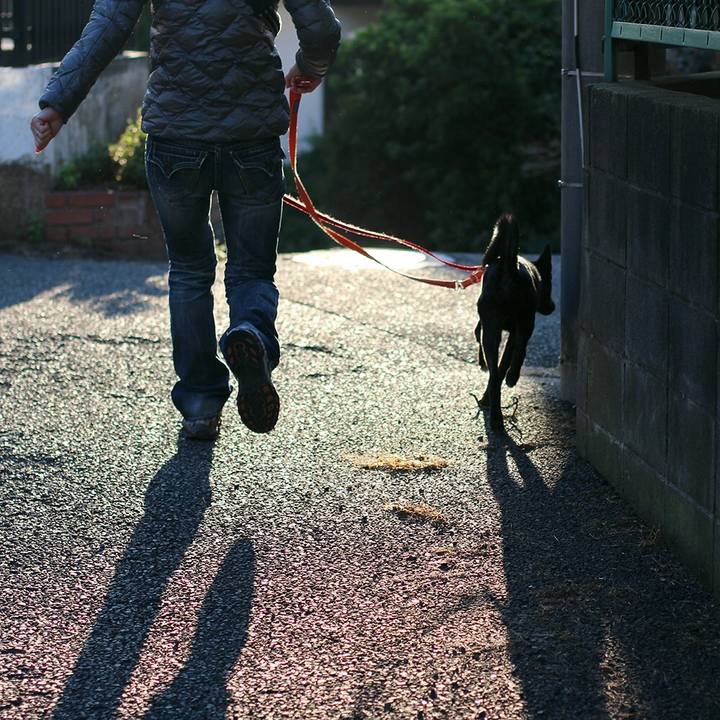 0bb92408 c050 42f0 bb3d 3ada9291d098