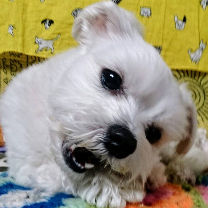 0bb98499 6430 4563 bf69 45a6ebf2672a