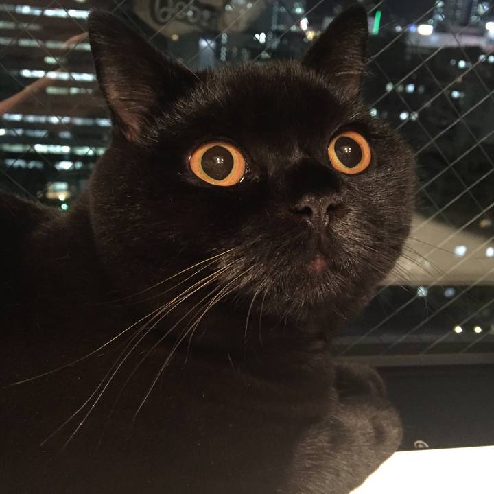 0bb9bf06 44f1 4b4f 9d02 a4303f686dfd