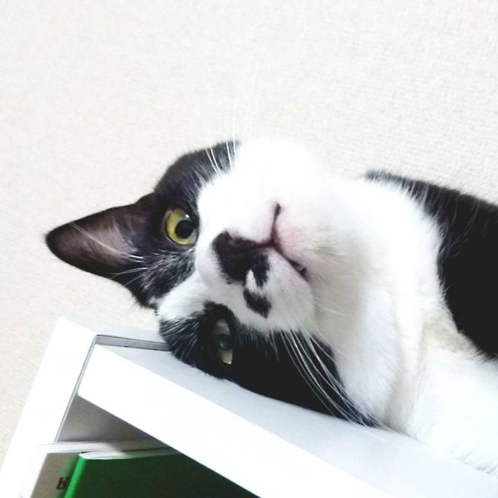 0bb9f2fb 5c3d 4617 9a9c 3a89b101c60e